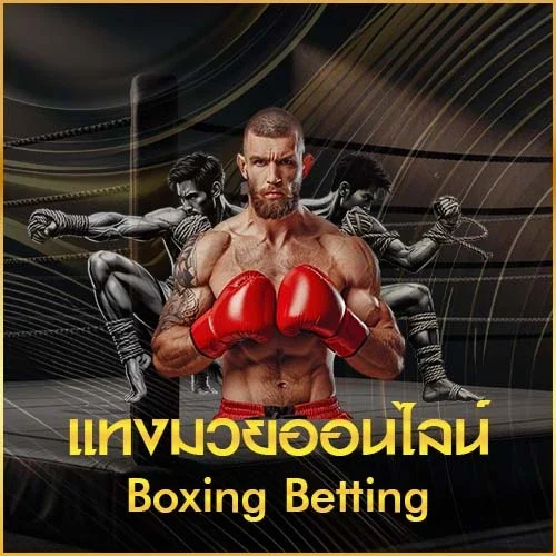 แทงมวยออนไลน์